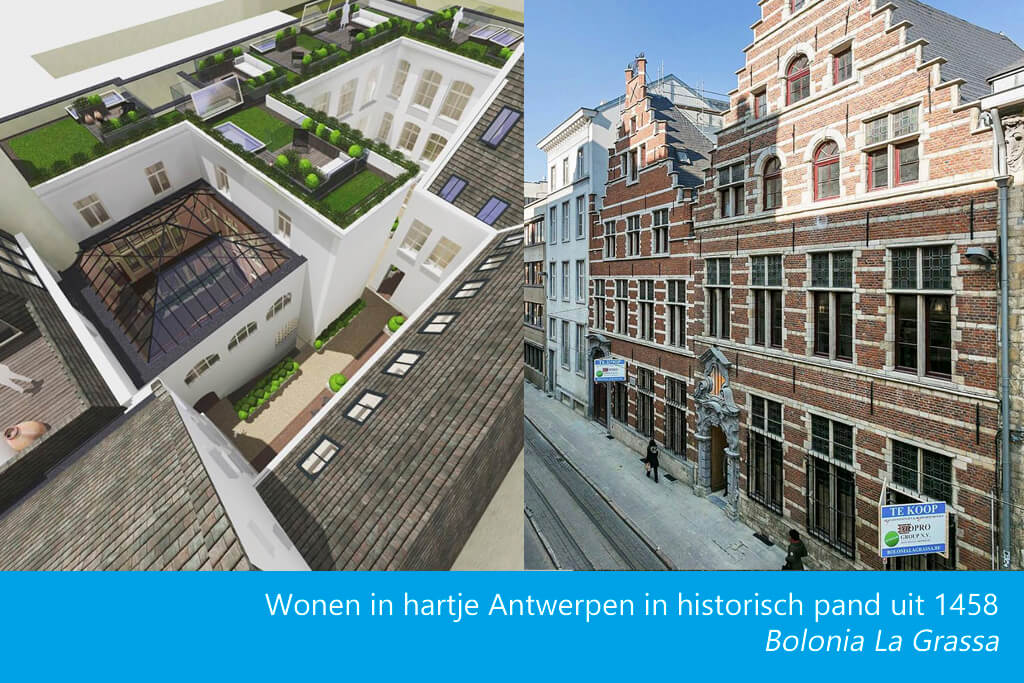 Dakluik op dakterras historisch pand in hartje Antwerpen